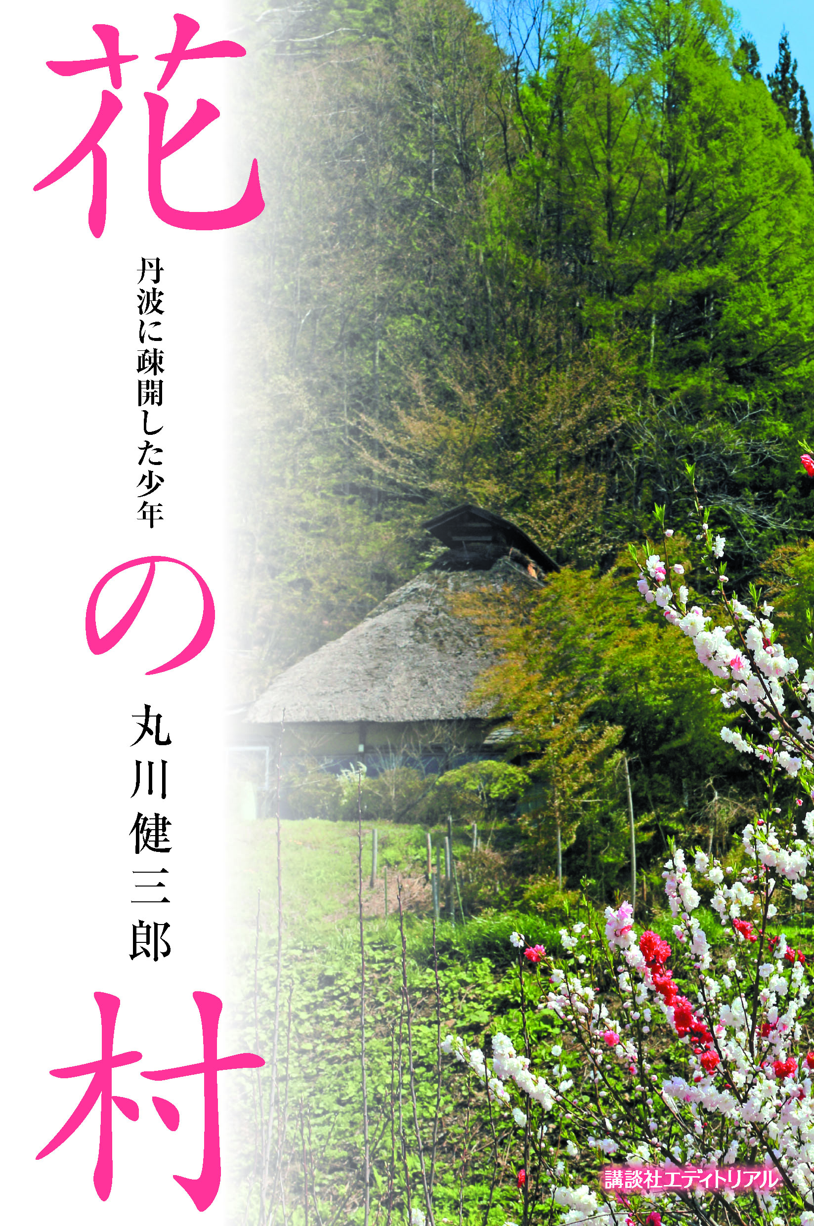 花の村